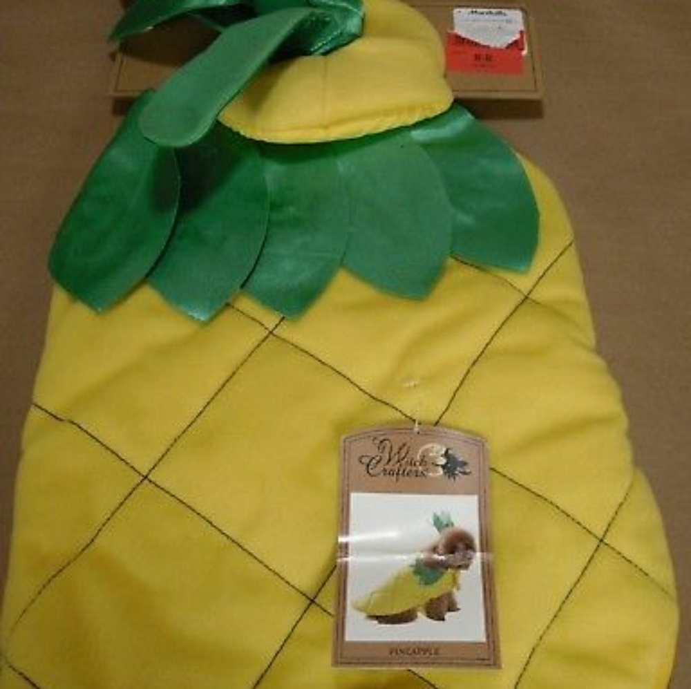 Pineapple Costume for a Dog.